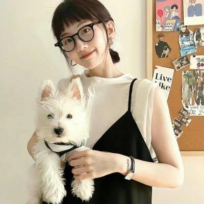捉智双雄