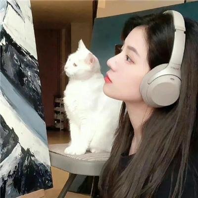 遨翔加州